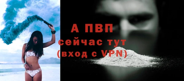 сатива Богданович