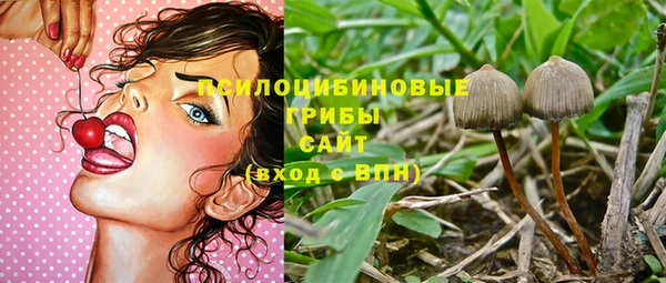 apvp Беломорск