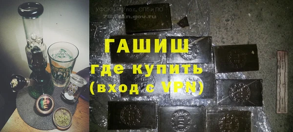 сатива Богданович