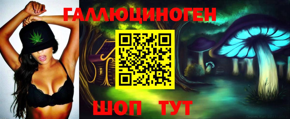 Малоярославец  Галлюциногенные грибы мицелий  Вход с VPN 