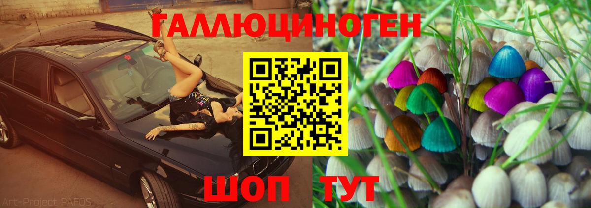 Галлюциногенные грибы Psilocybe Малоярославец