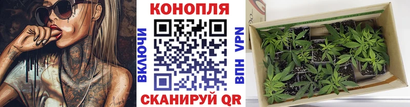 Бошки Шишки марихуана  МЕГА ONION  Малоярославец 